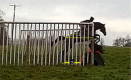 graphic file with name fx2.gif