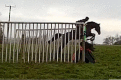 graphic file with name fx3.gif