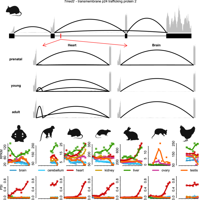 Extended Data Fig. 6