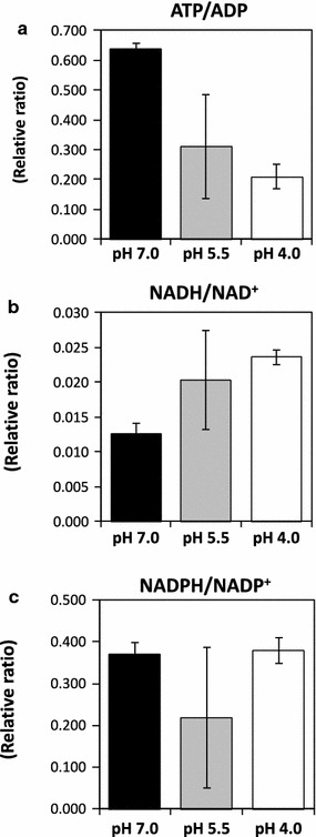 Fig. 4