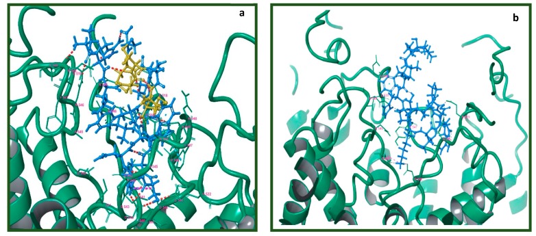 Figure 7