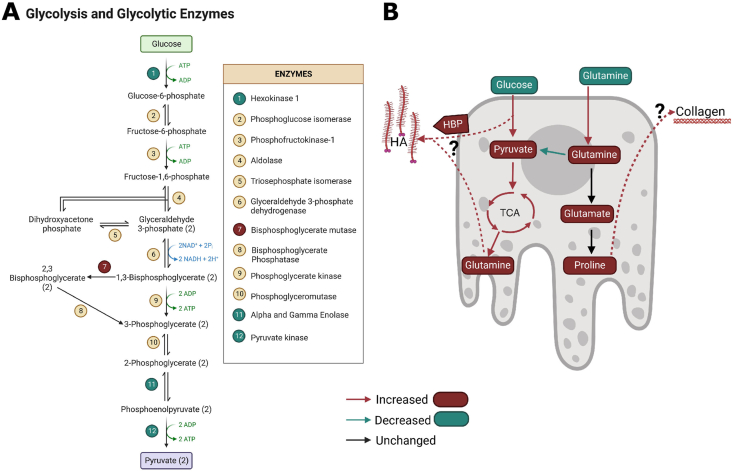 Figure 6