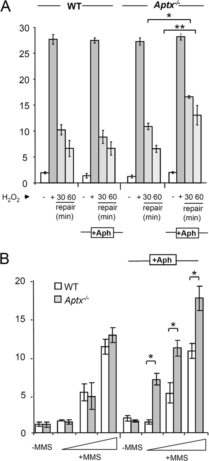 FIG. 6.