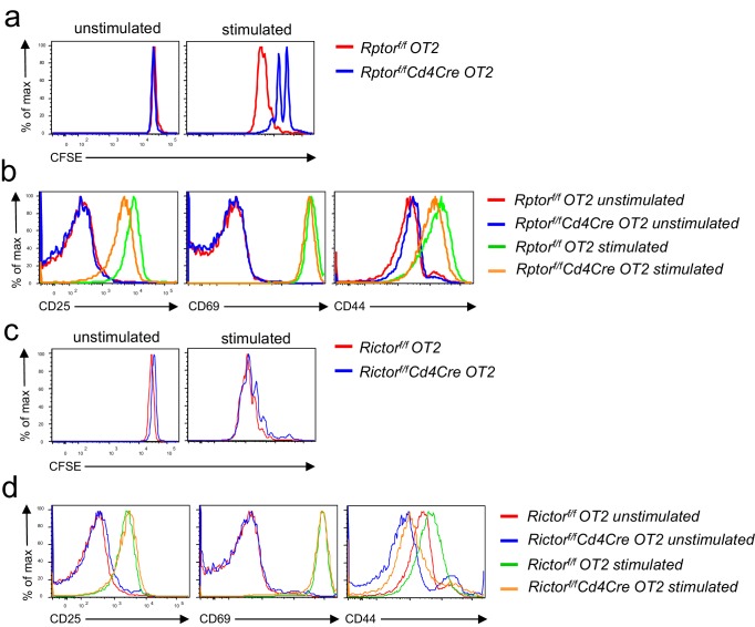 Figure 7—figure supplement 1.