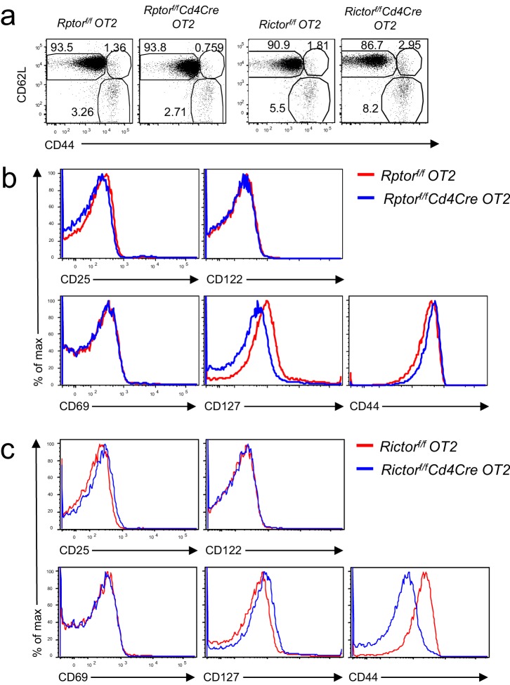 Figure 6—figure supplement 1.