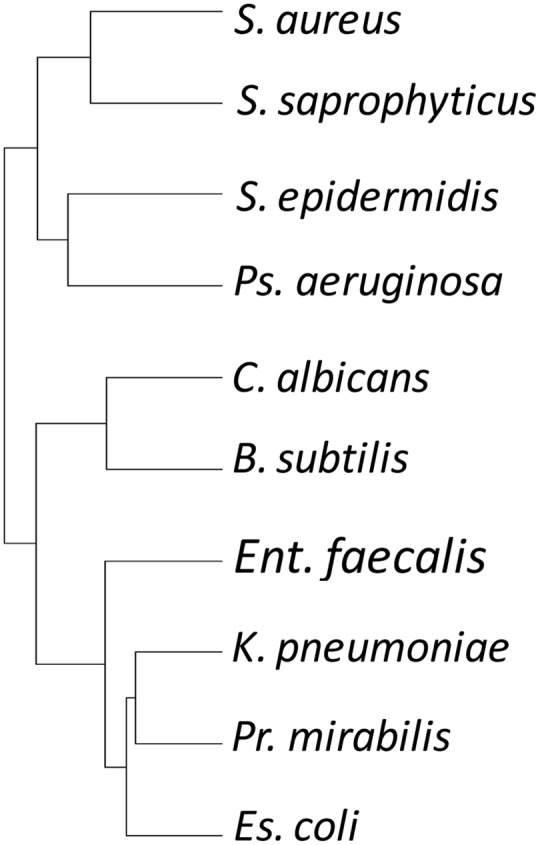 FIGURE 3