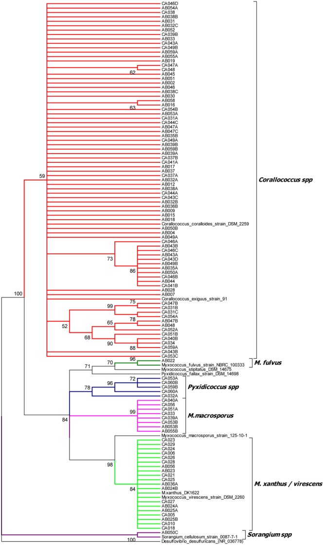 FIGURE 1