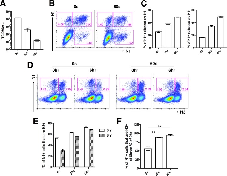 FIG 4