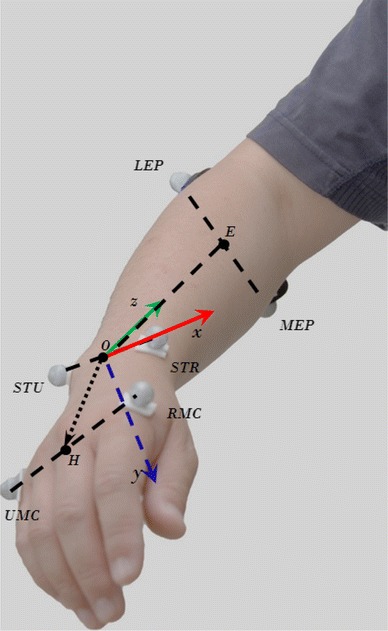 Fig. 2