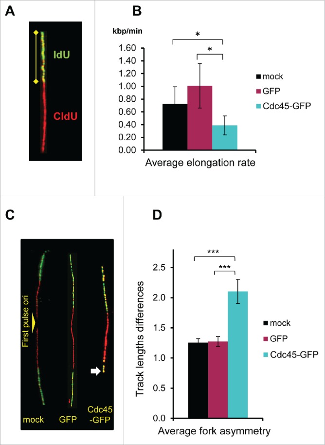 Figure 6.