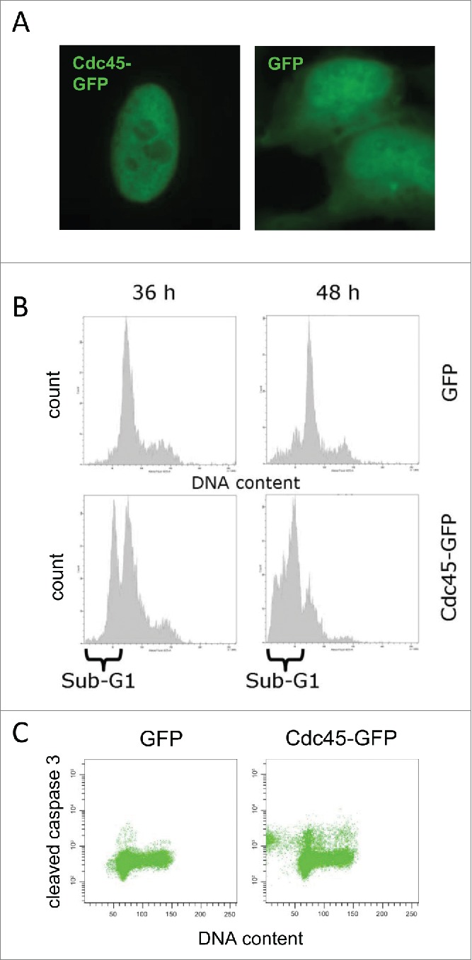 Figure 1.