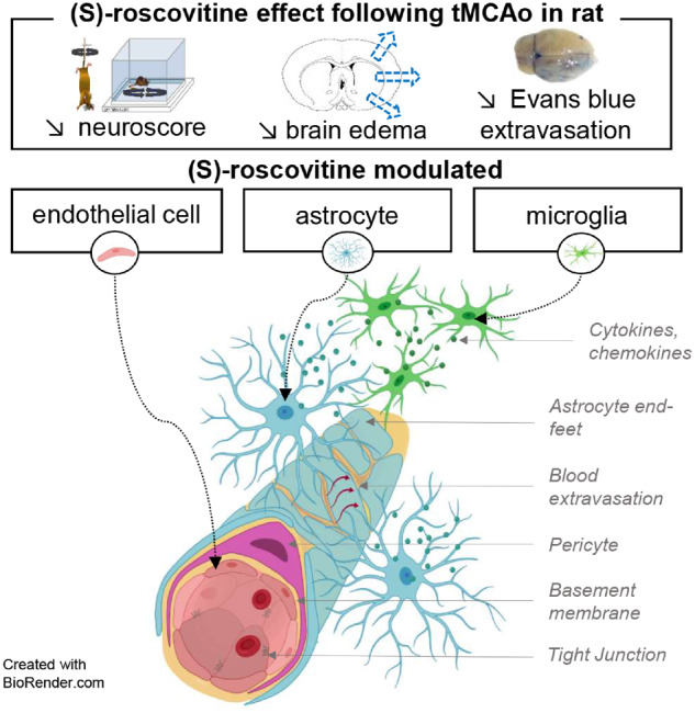 Graphical Abstract