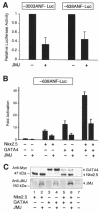 FIG. 1.