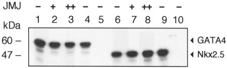 FIG. 8.