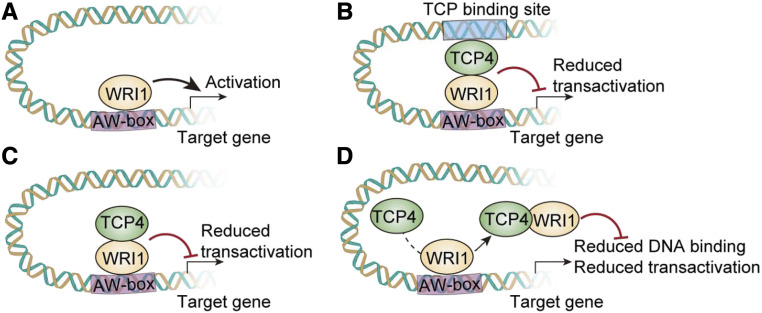 Figure 5.