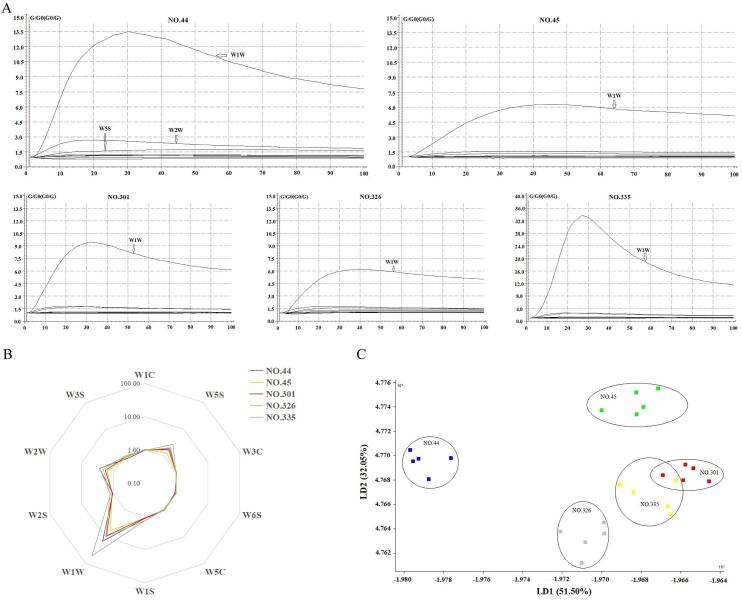 Fig. 1