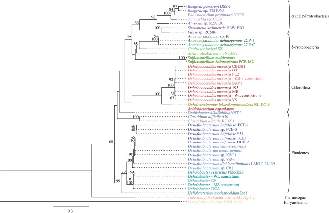 Figure 1.