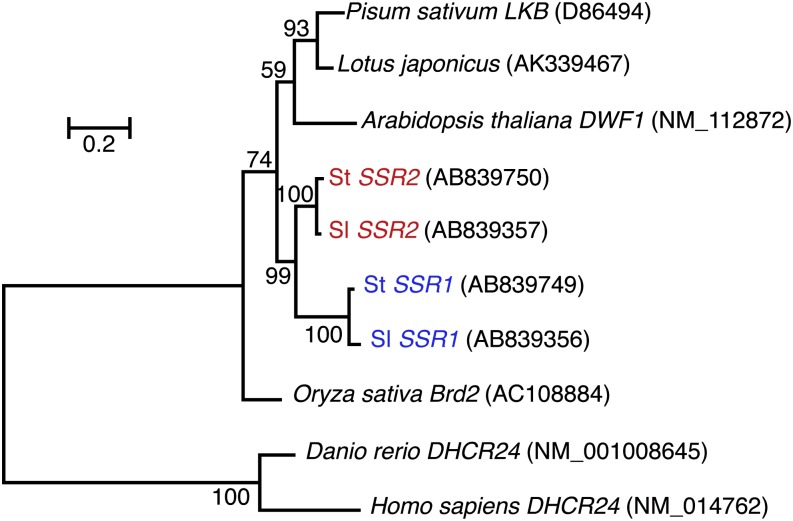 Figure 2.