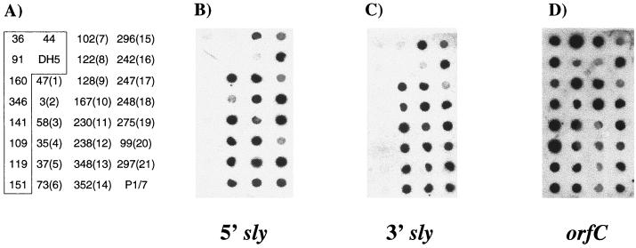 FIG. 3