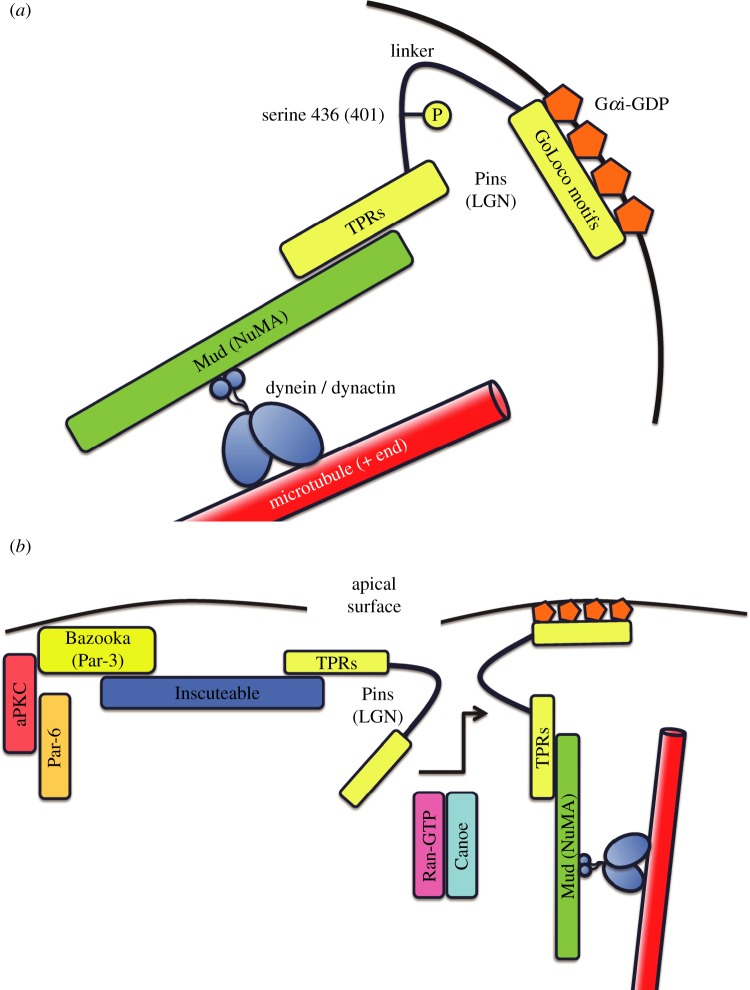 Figure 1.