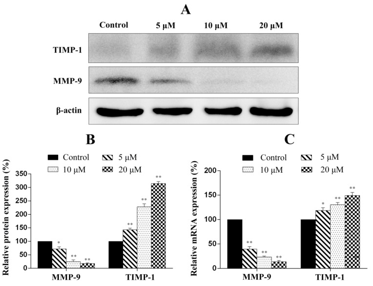 Figure 11