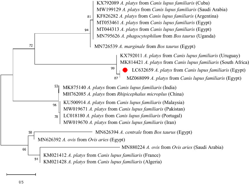 Fig. 2