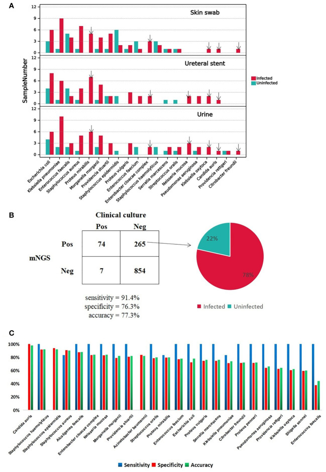 Figure 2