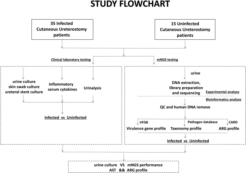 Figure 1