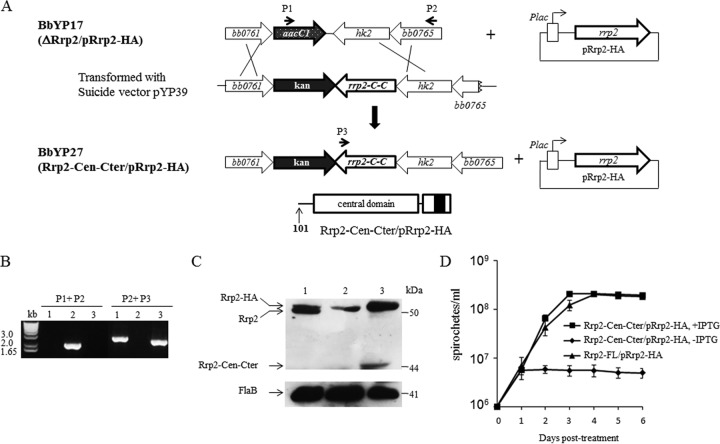 FIG 3