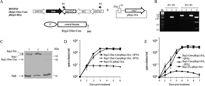 FIG 5