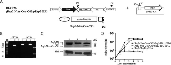 FIG 6