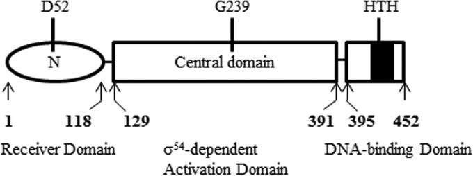 FIG 1