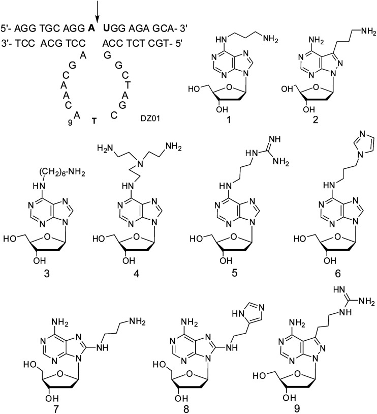 Scheme 1