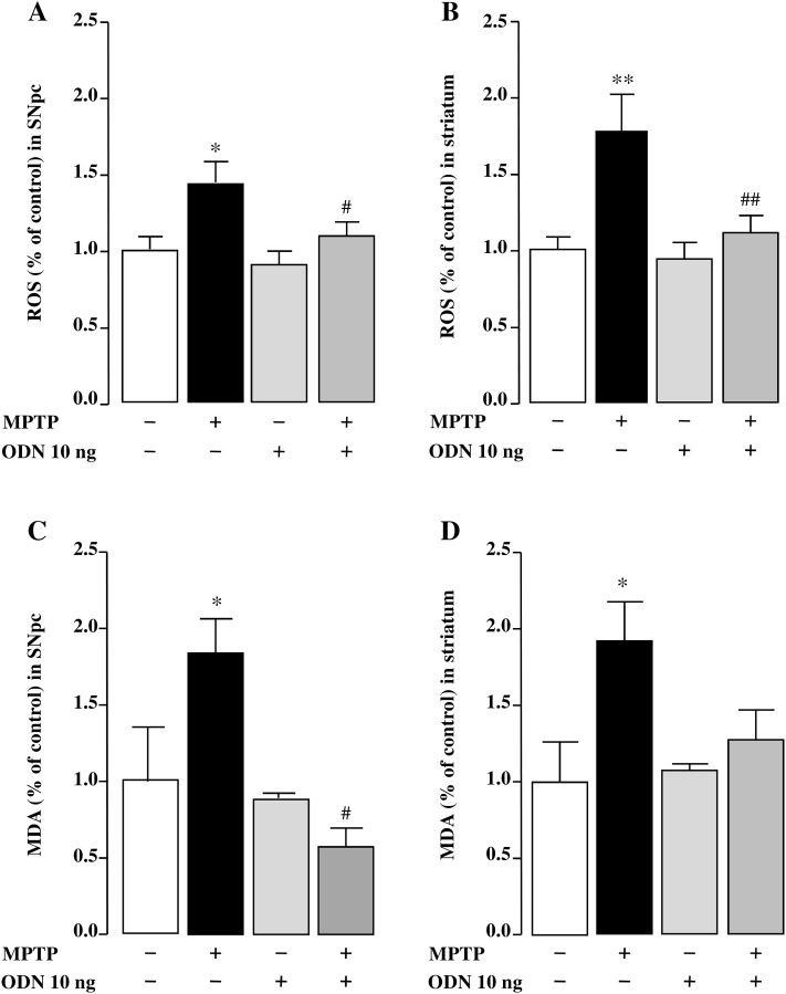 Fig. 6