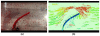 Fig. 3