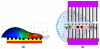 Fig. 25