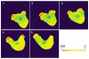 Fig. 18