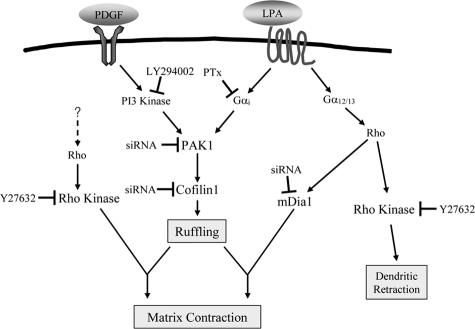 Figure 10.