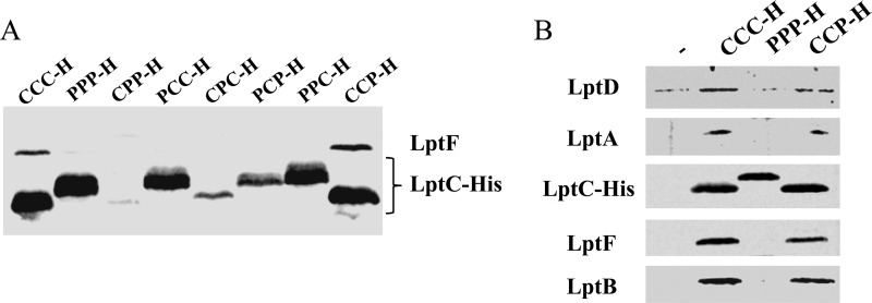 FIG 3