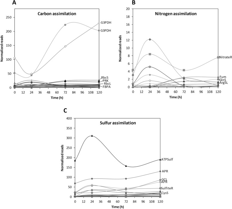 Fig. 2