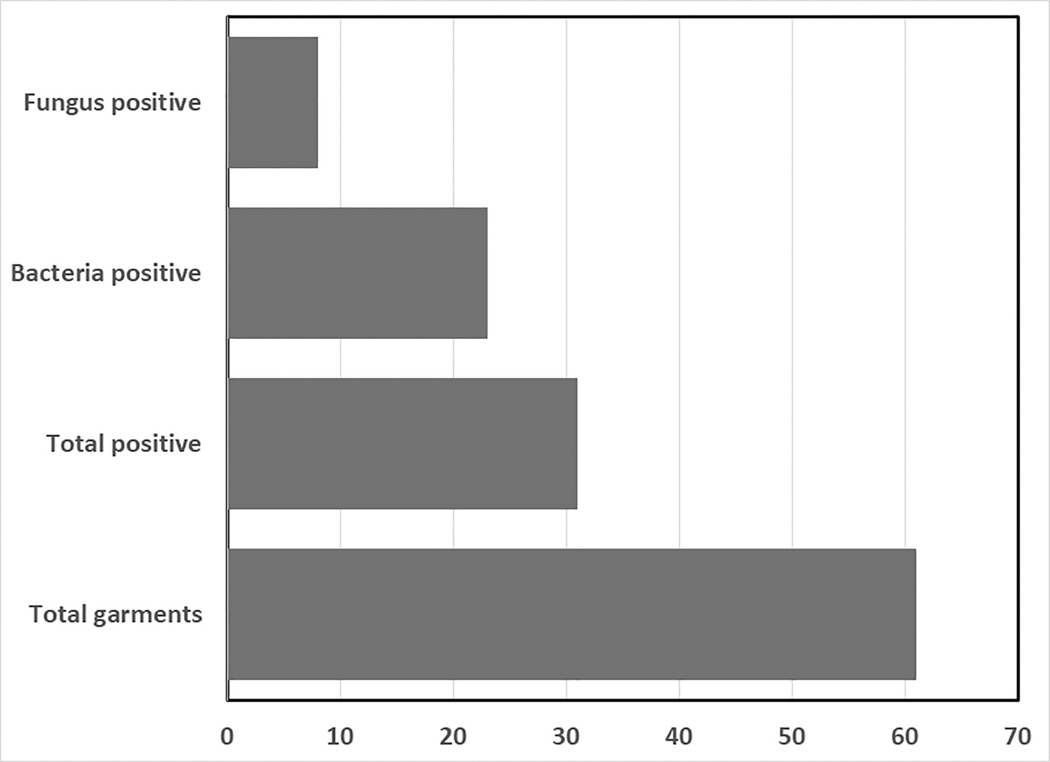 Figure 2)