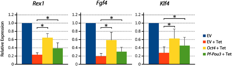 FIGURE 6 ∣