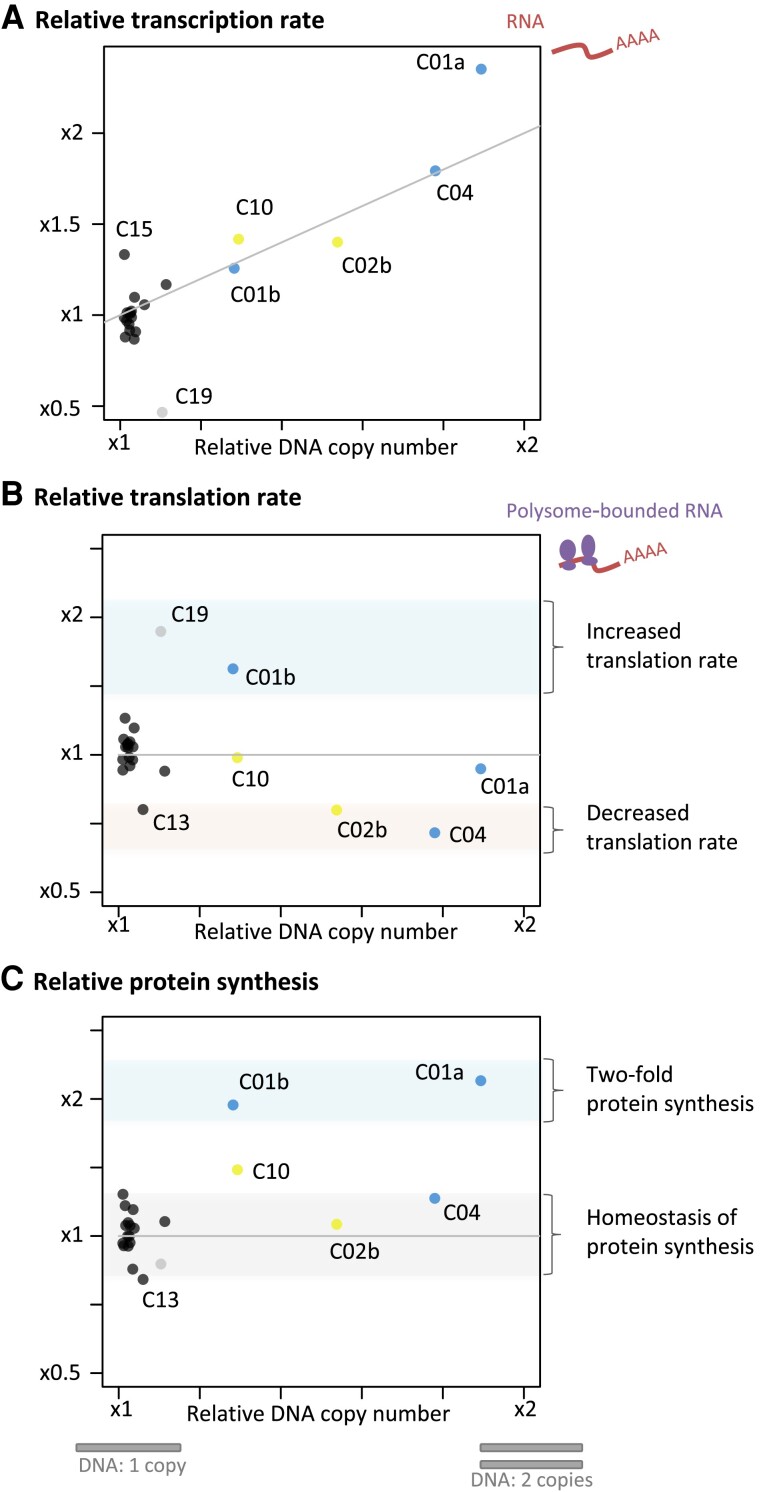 Fig. 3.