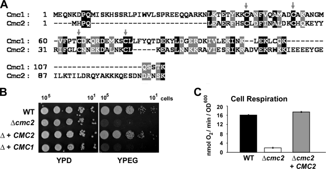 FIGURE 1.