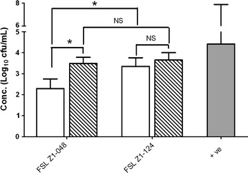 Figure 3