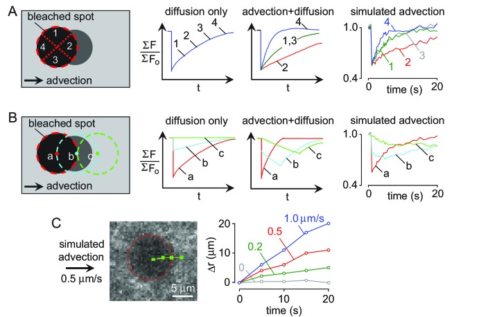 Figure 3—figure supplement 3.