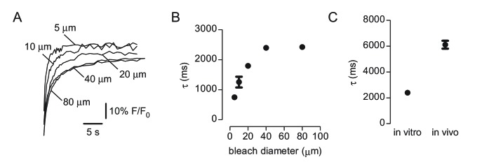 Figure 3—figure supplement 1.