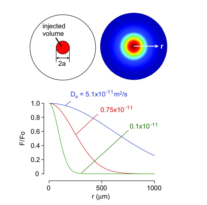 Figure 2—figure supplement 1.