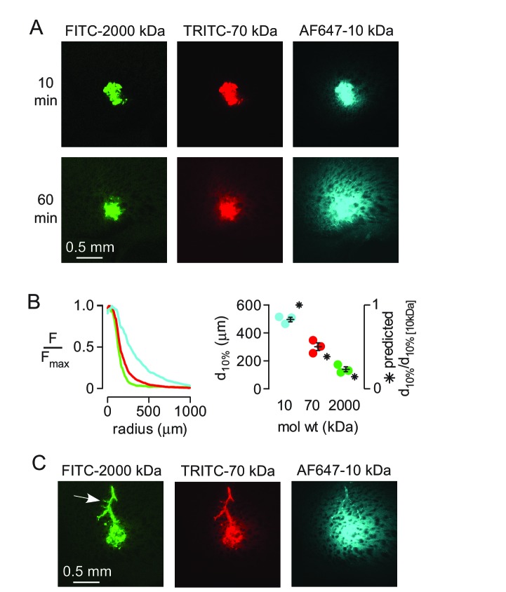 Figure 2.