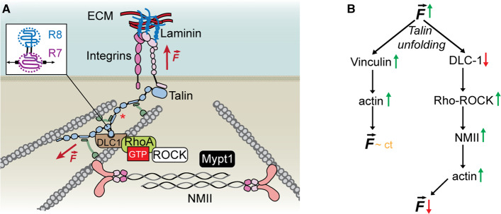 Figure 4.